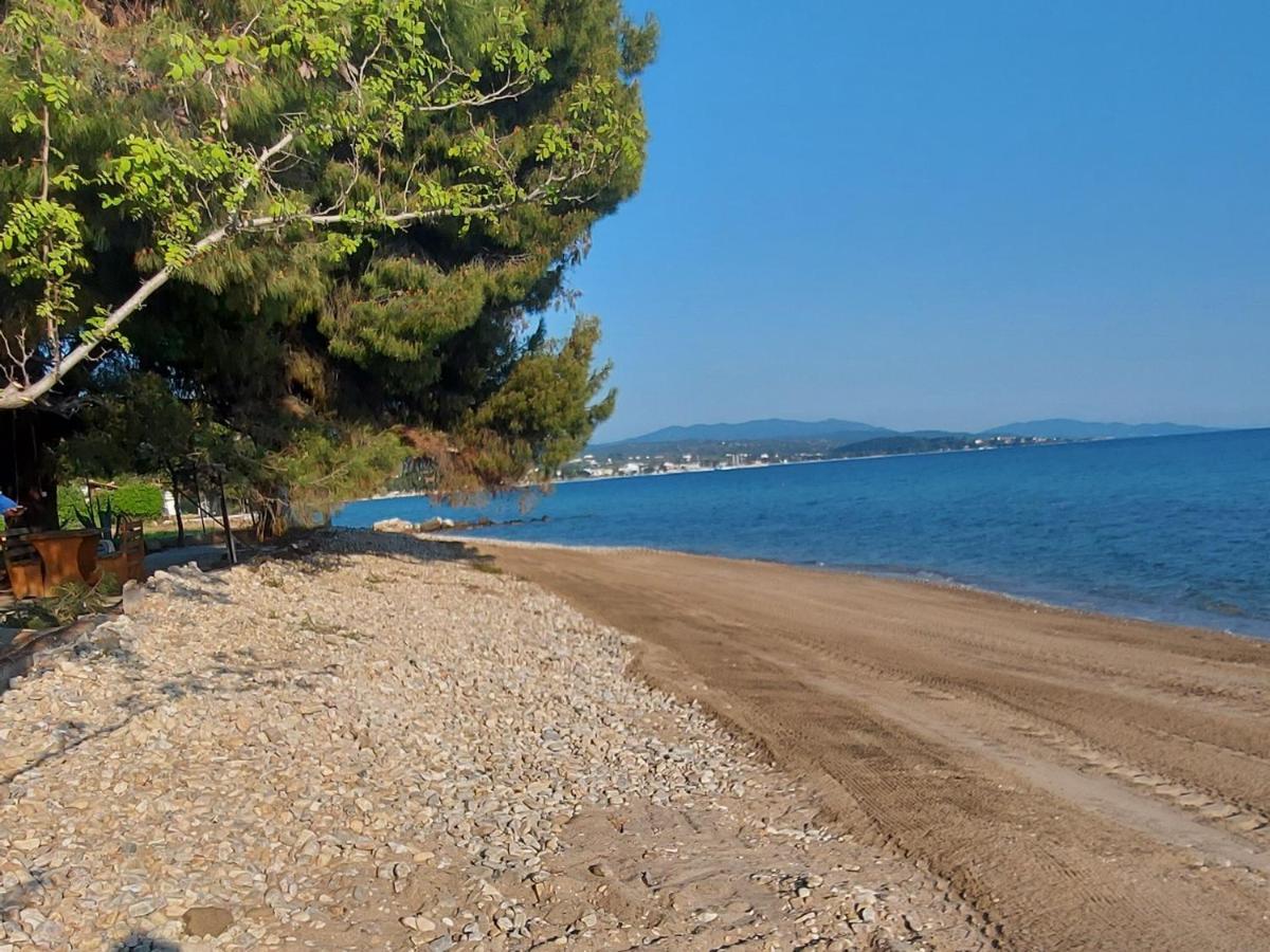 "Pine&Sea" Kastamoniti Beach Nikíti Eksteriør bilde
