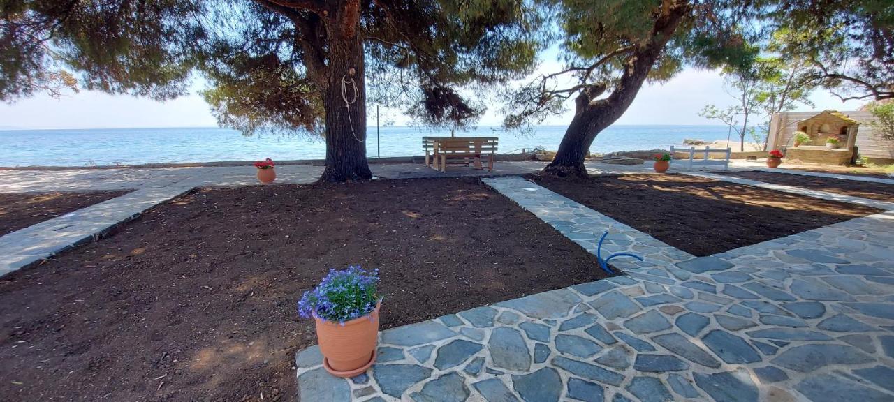 "Pine&Sea" Kastamoniti Beach Nikíti Eksteriør bilde